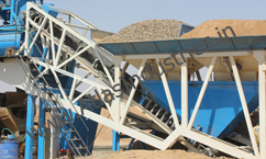 Weighing cum discharge conveyor